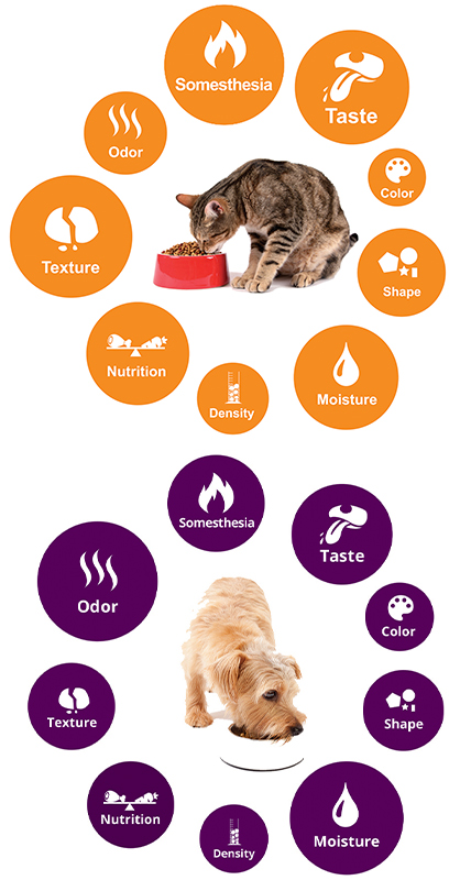 Choosing palatants for pet food: A guide for making food more appealing!