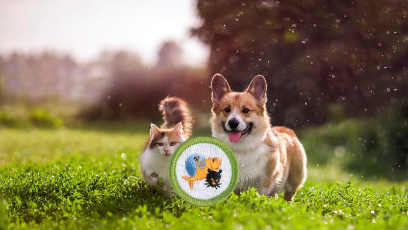 Need the Pet Care Merit Badge? Follow This Easy Guide!