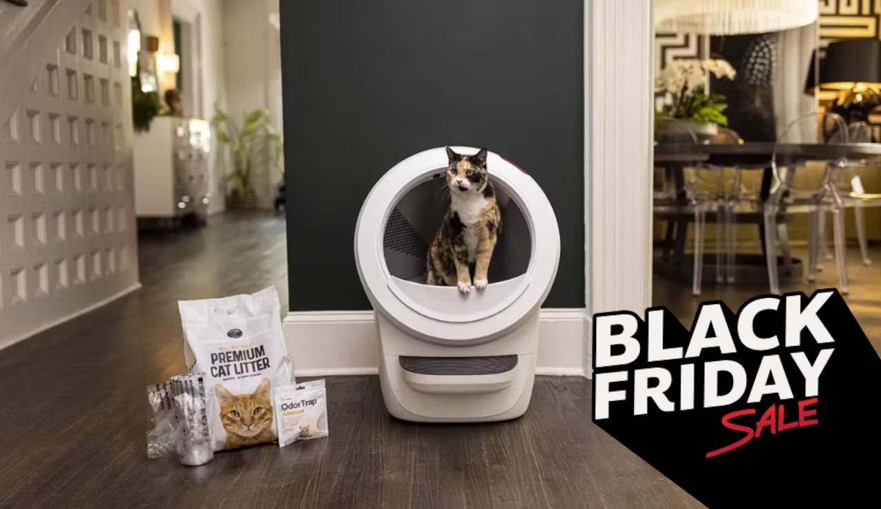 cat litter black friday