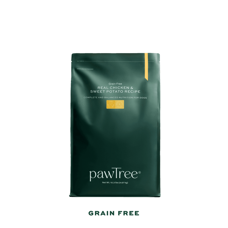 Where to Buy Pawtree Dog Food: Your Ultimate Guide to Finding the Best Deals Online and Locally!