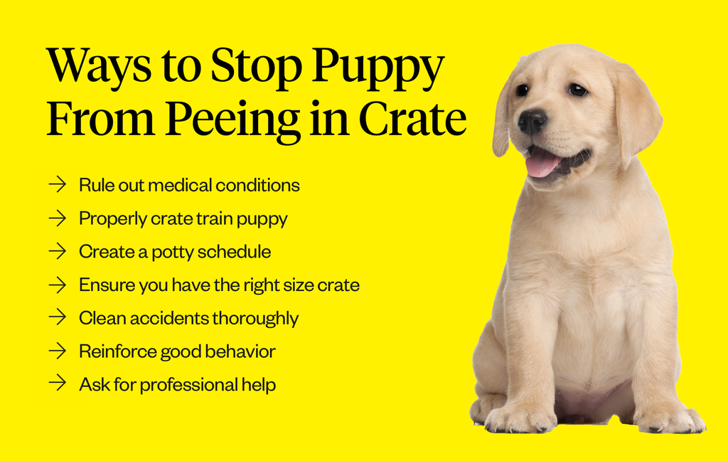 How to Stop Puppy From Peeing in Kennel (Simple Tips That Really Work)