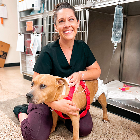 Pet Urgent Care in La Mesa: Find Quick Help for Your Furry Friend When They Need It Most!
