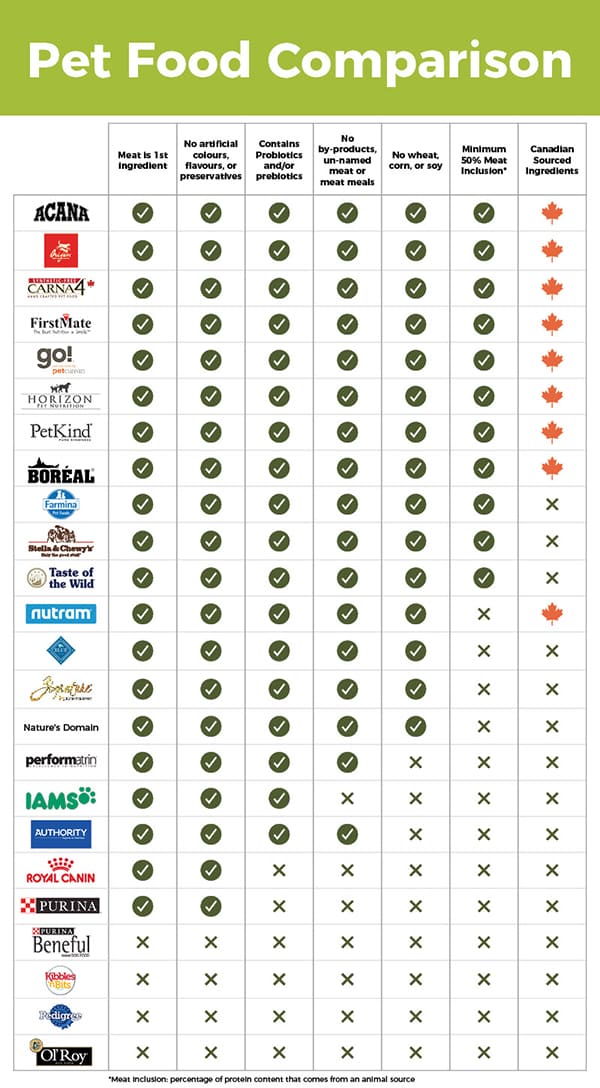 Comparing First Choice Pet Care: See How It Stacks Up Against the Competition
