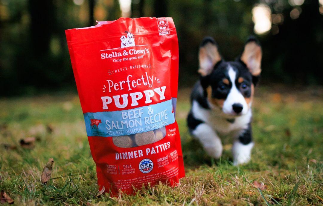 Best Dog Food for Breeding Dogs: A Simple Guide for Healthy Litters.