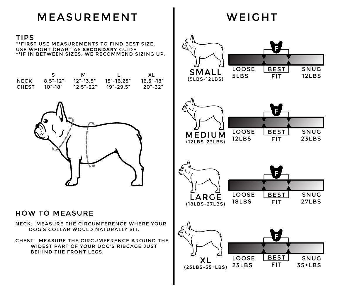 Using a French Bulldog Size Chart: A Helpful Guide for New and Current Owners.