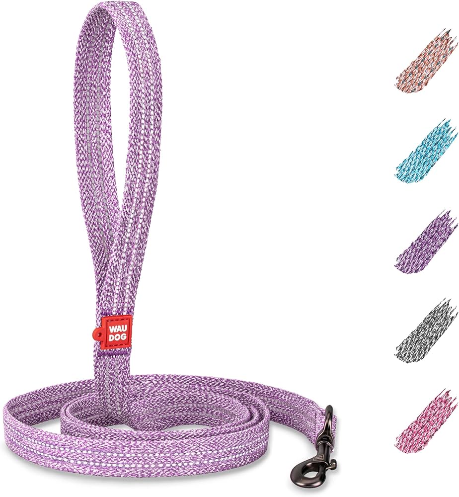 Recycled Climbing Rope Dog Leash: Strong & Eco-Friendly!