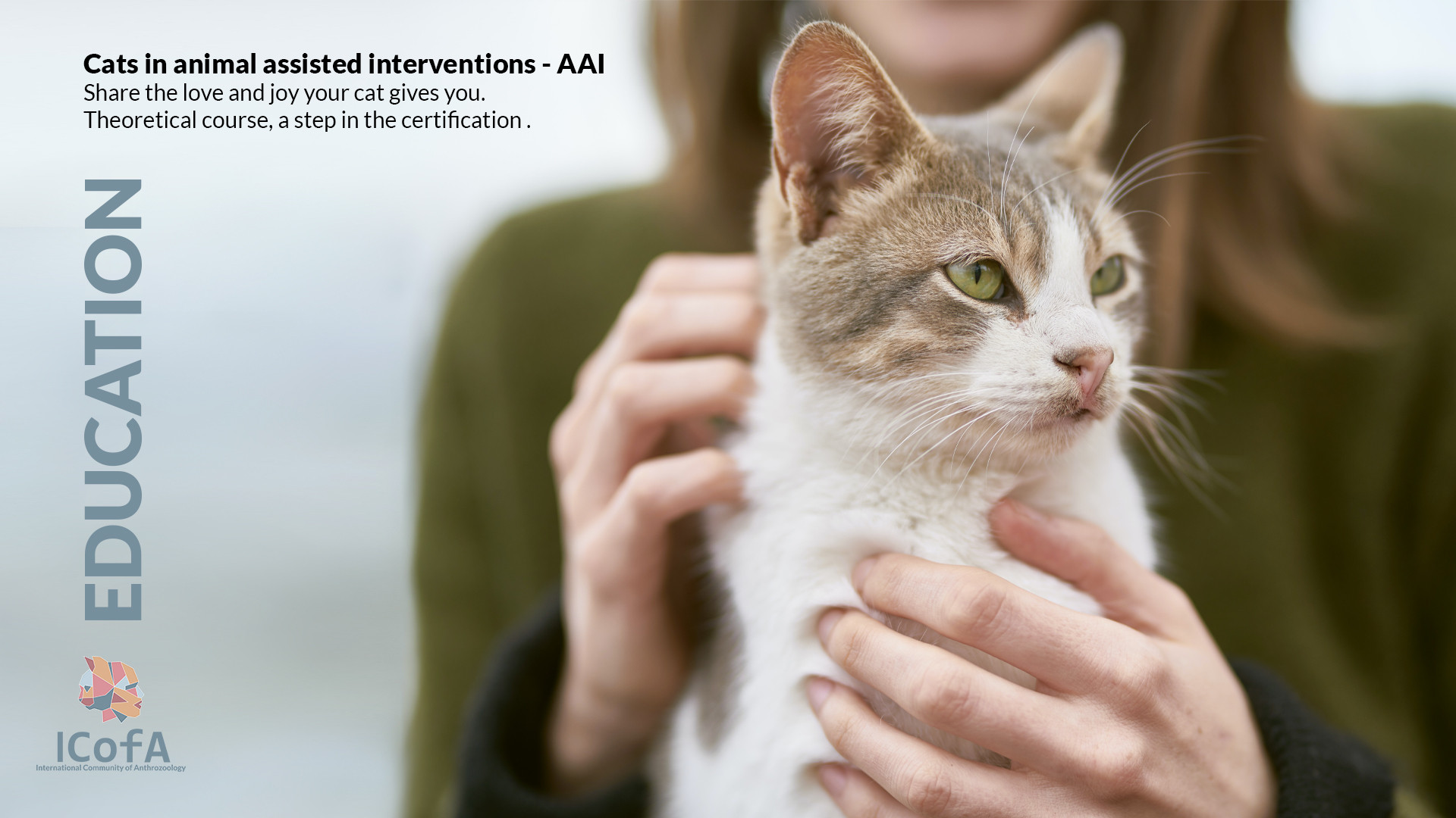 Therapy Pet Certification for Cats: Easy Steps to Get Your Cat Certified!