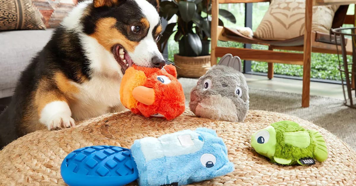 Best Talking Pet Toys: Are They Worth the Hype (Reviews)?