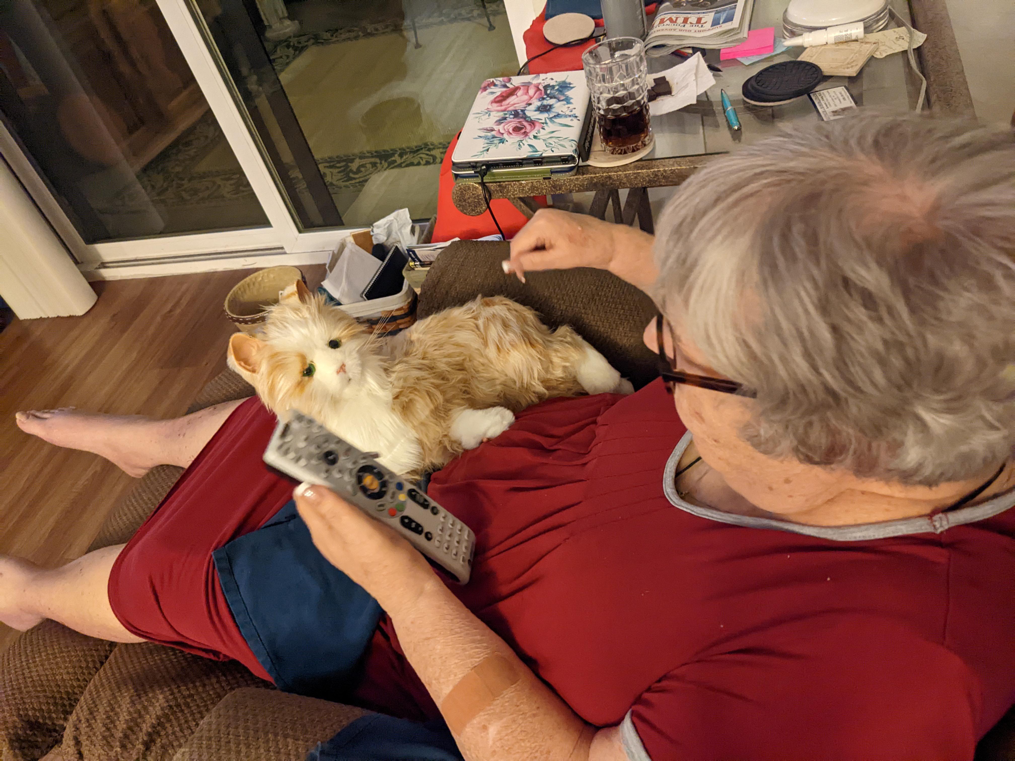 alo companion pet care Reviews: Is It Worth the Hype?