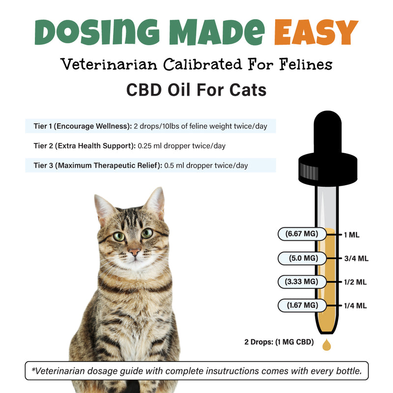 Using CBD for Cats for Sleep: Dosage Tips and What to Expect