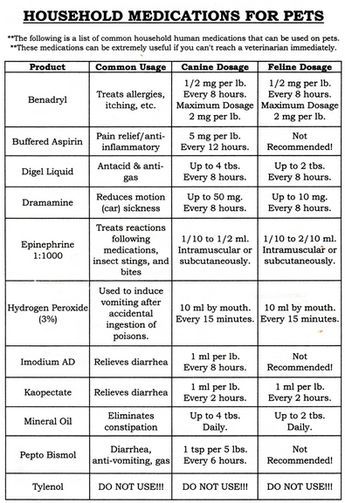 Aspirin for Cats Dosage Chart: How Much is Safe for Your Cat?
