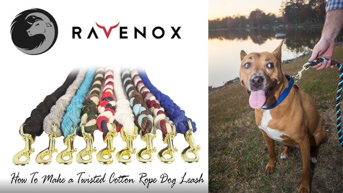 DIY Lead Rope Dog: How to Make Your Own Custom Lead.