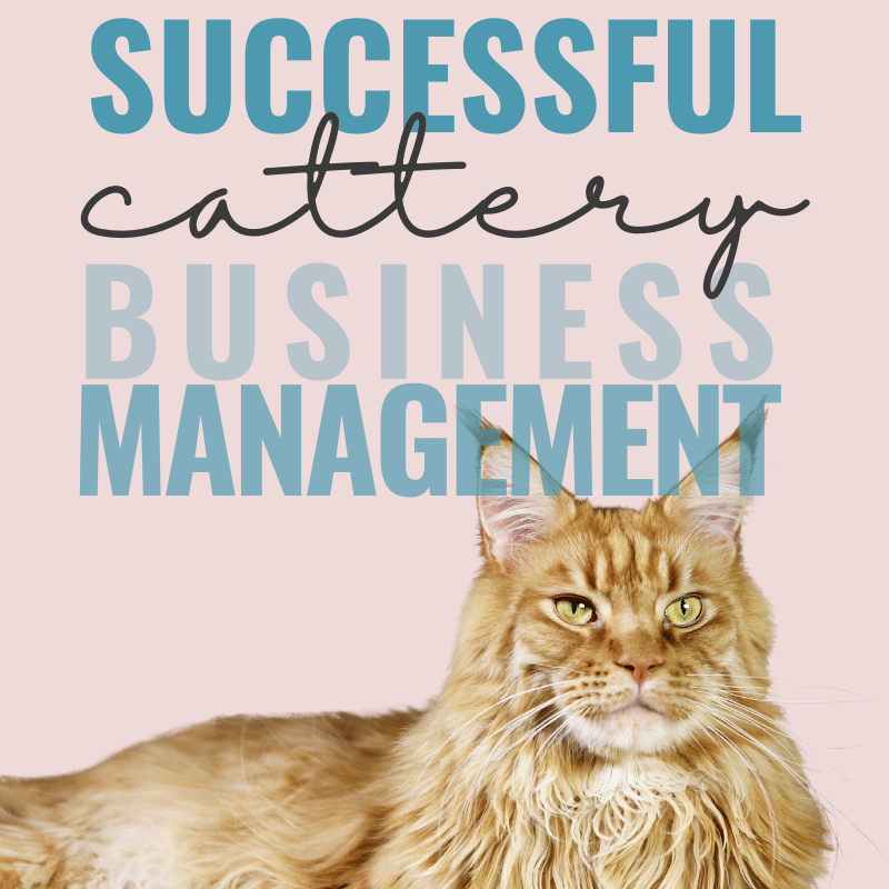 How do I set up a cattery: Essential tips for a thriving cat business.