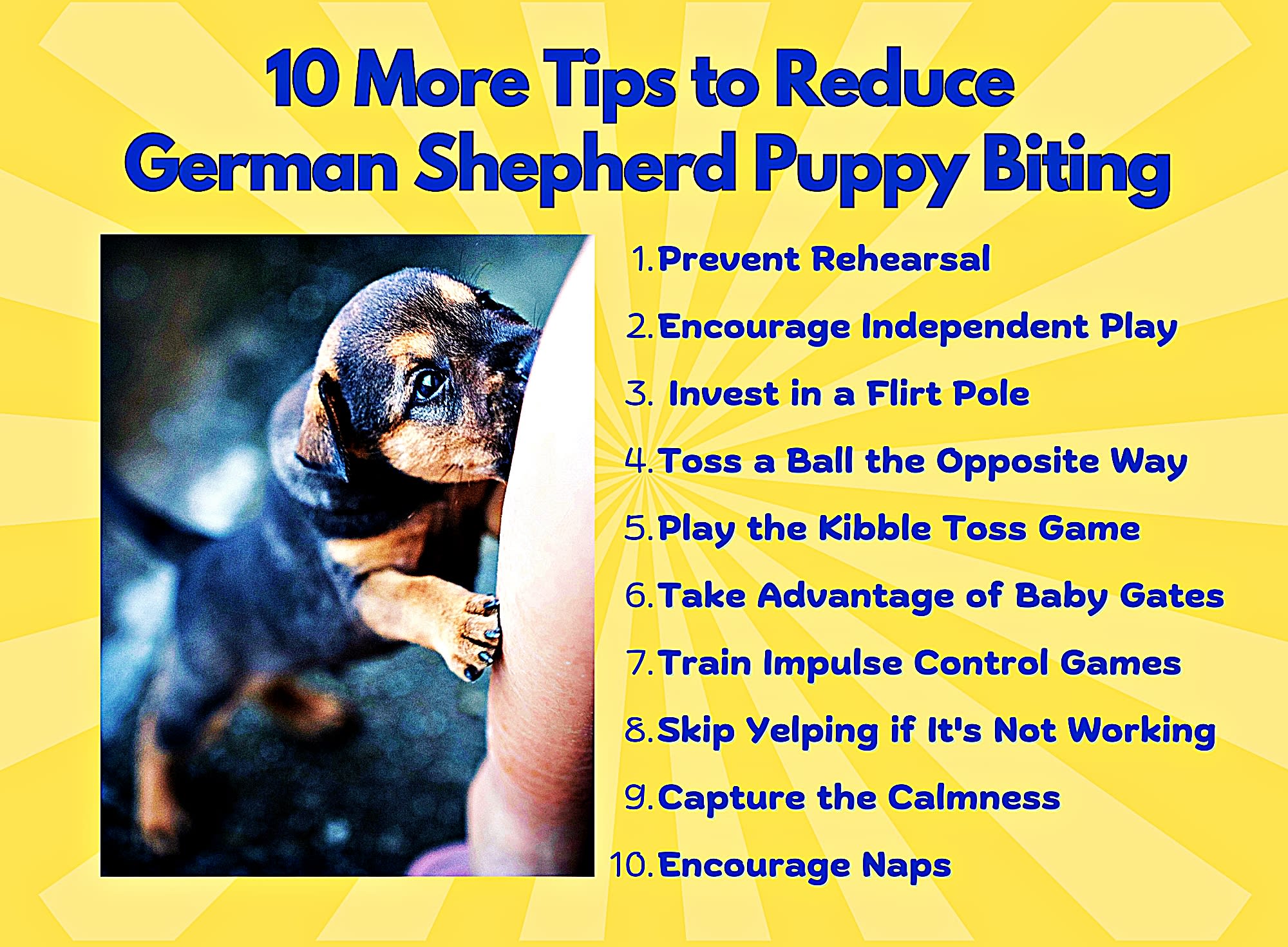 German Shepherd Puppy Biting? How to Stop It Fast!