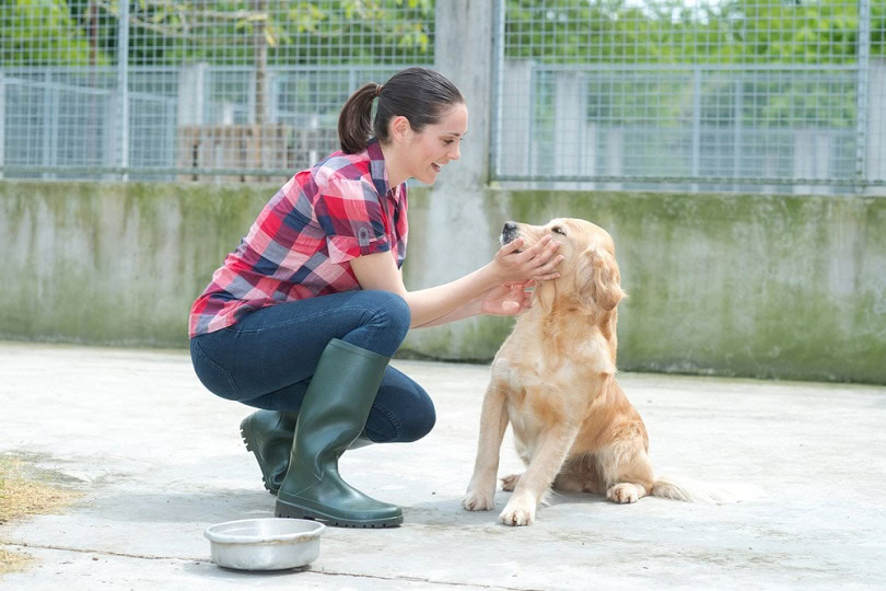 National Feed a Rescue Pet Week 2024 Guide (How to Help Shelters in Your Area)