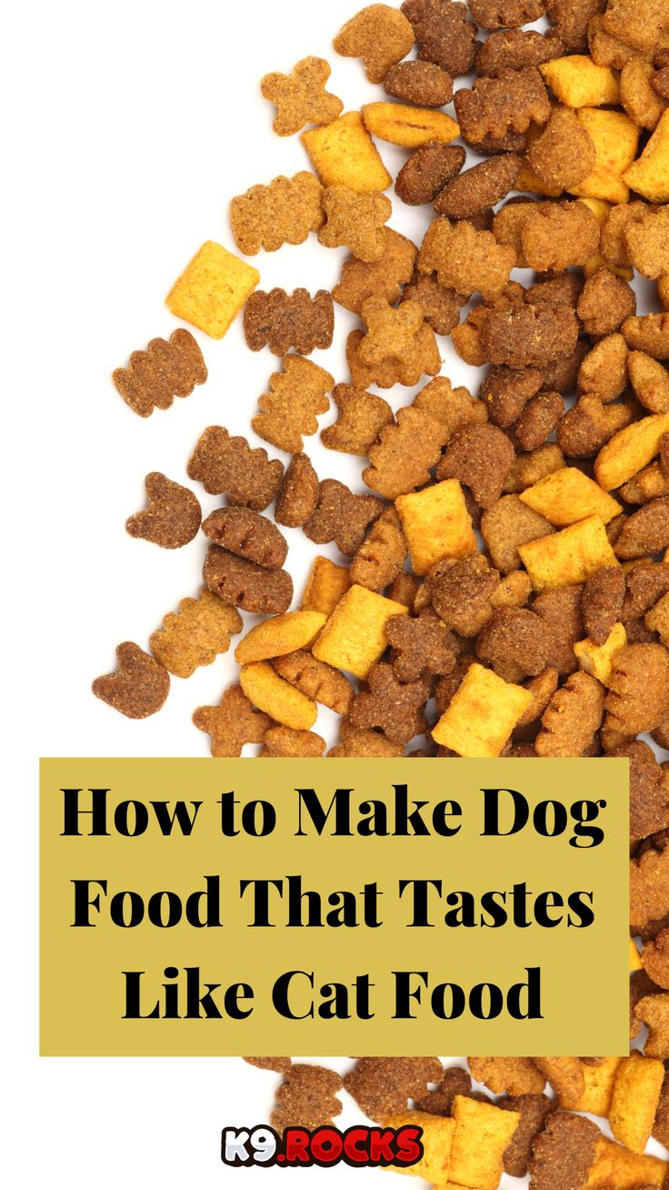 Want Dog Food That Tastes Like Cat Food? Read This First!