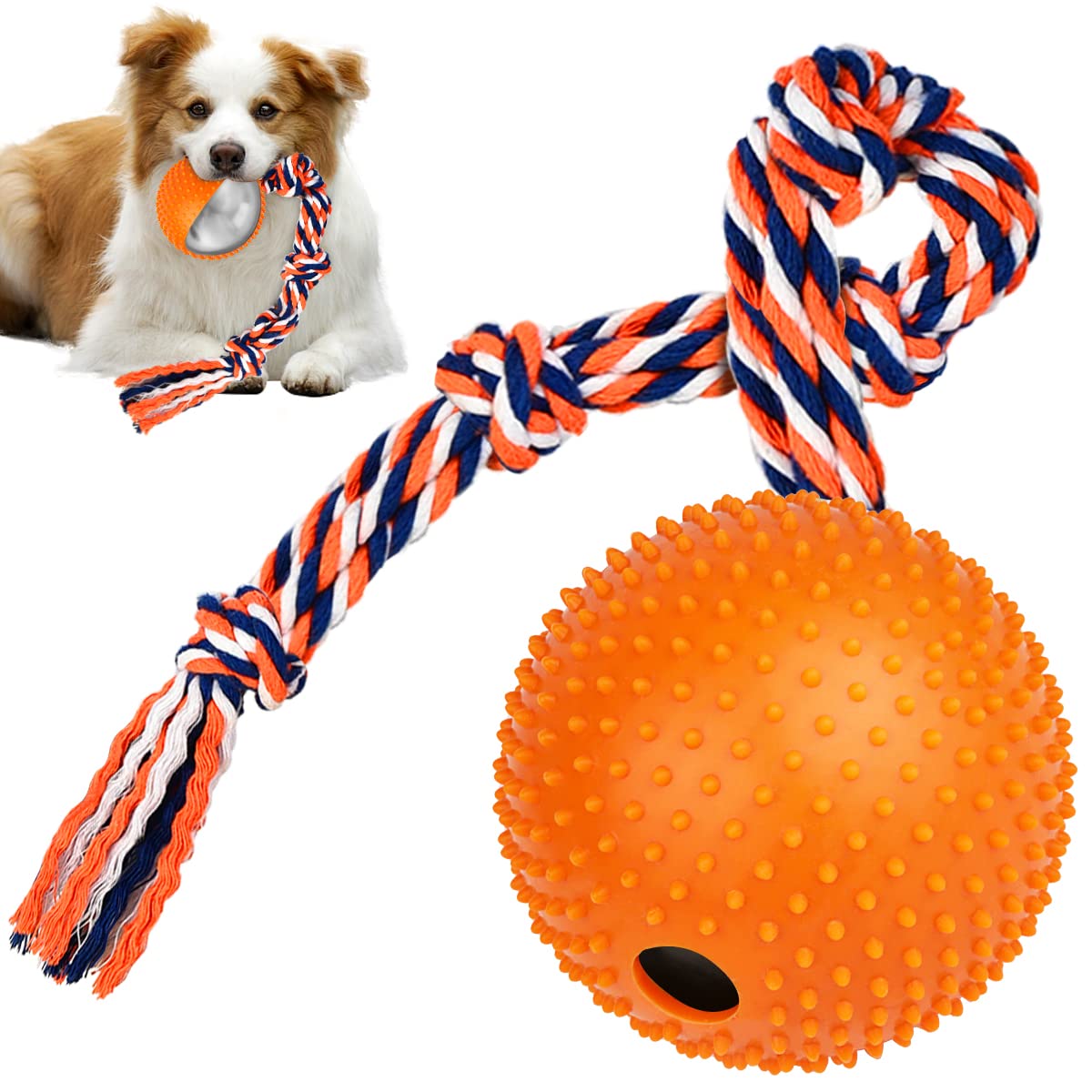Dog Ball with Rope Reviews: Are They Worth the Hype?