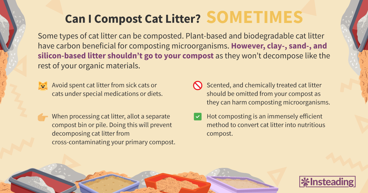 Cat Litter in Compost: A Beginners Guide to What Works.