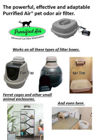Cat Litter Smell in House: Quick Solutions That Work!
