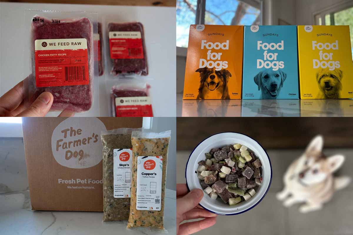 Dog Food That Tastes Like Cat Food: Top Picks for Picky Eaters!