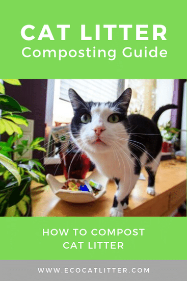 Cat Litter in Compost: A Beginners Guide to What Works.