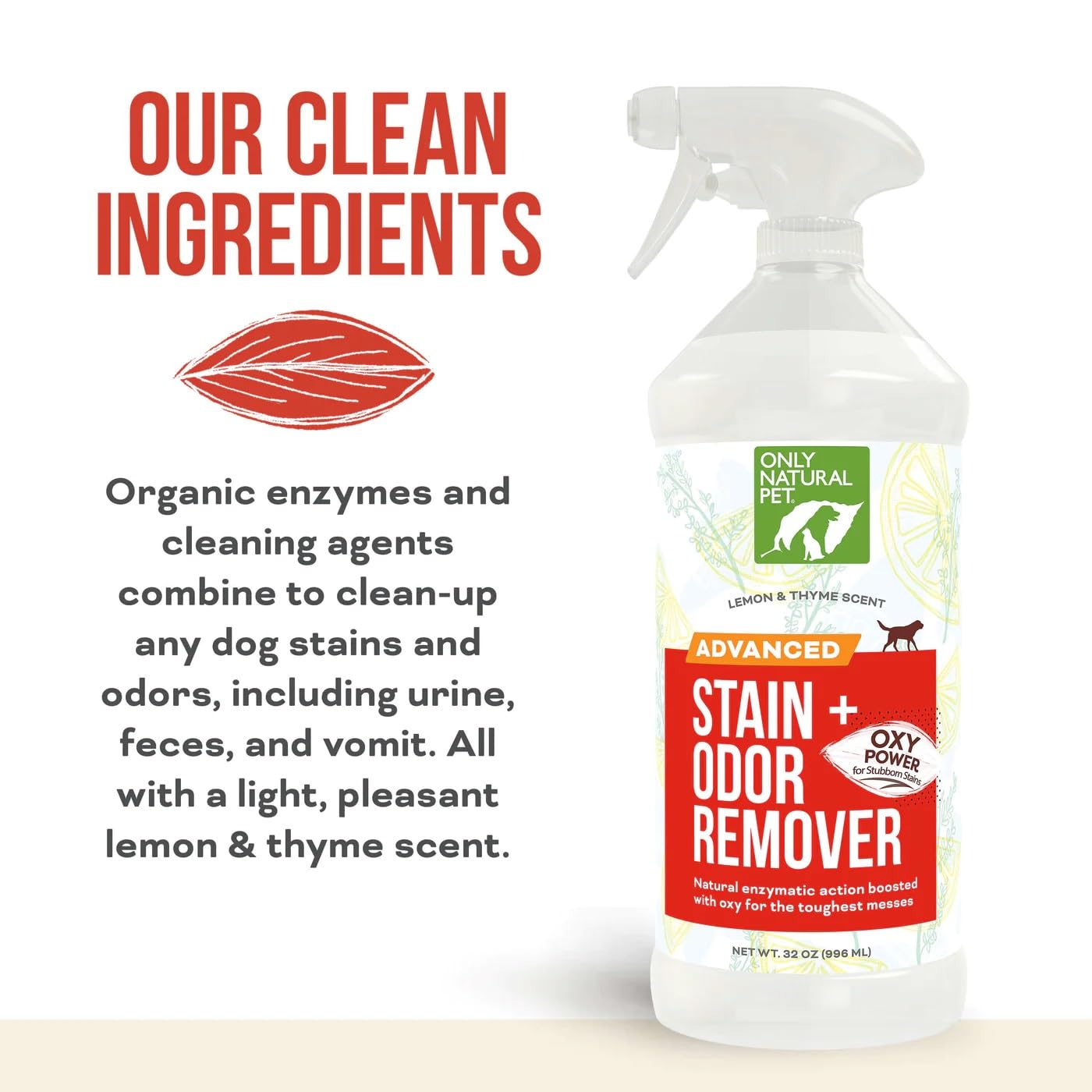 Natural Pet Cleaner: Safe way to clean pet mess?
