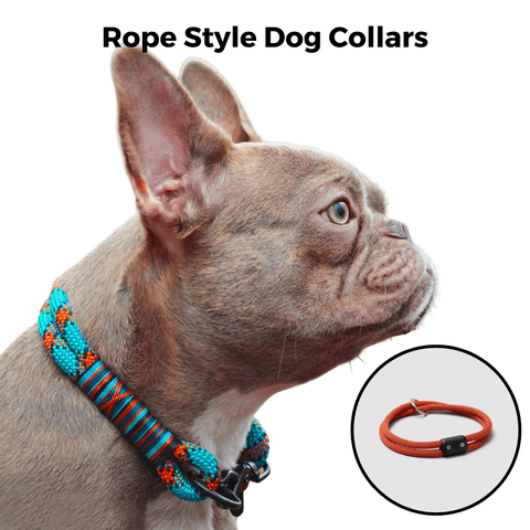 Rope Dog Collars Guide: Benefits, Types & Where to Buy