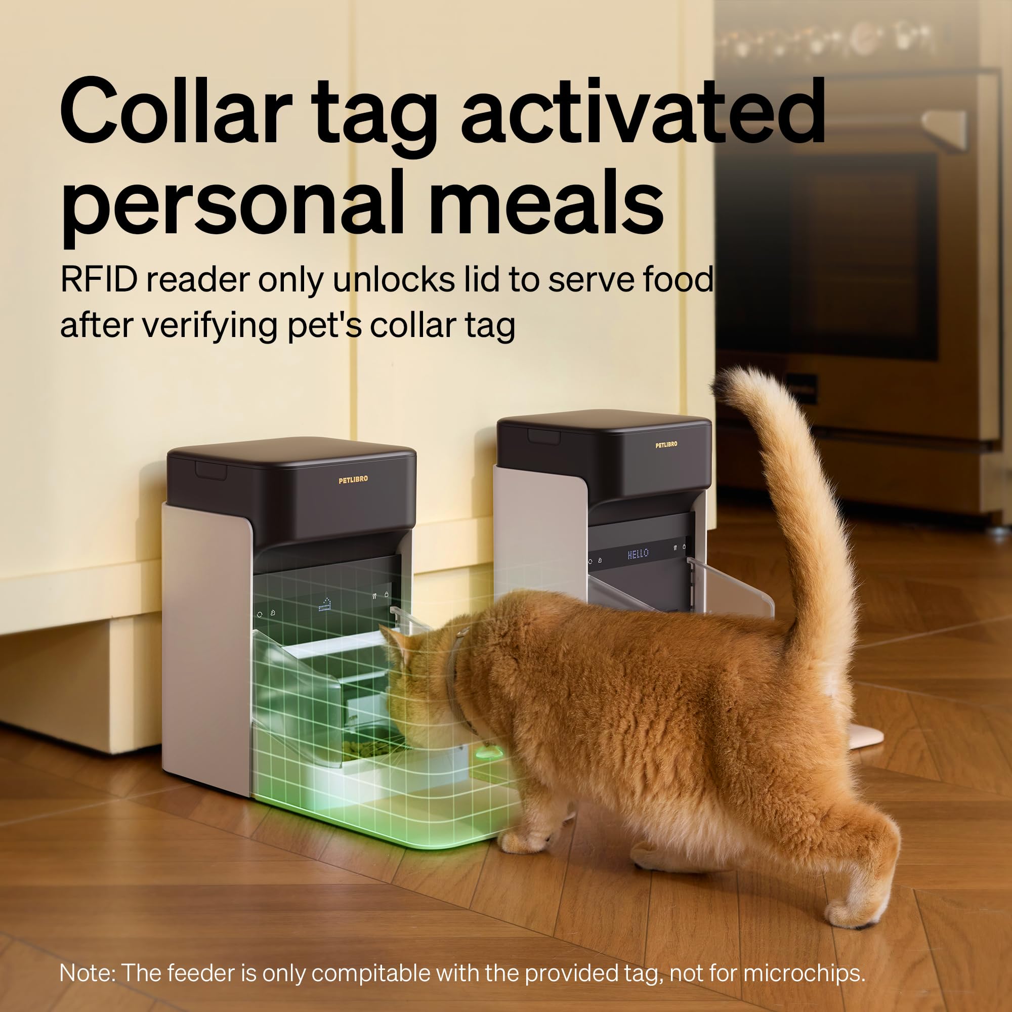 Set up Your Pet Feeder RFID (Easy Steps to Use and Program your RFID Feeder)