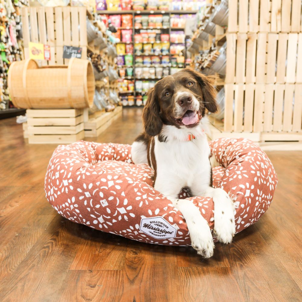 Best Pet Supplies Arlington TX: Where to Shop for Your Furry Friend!