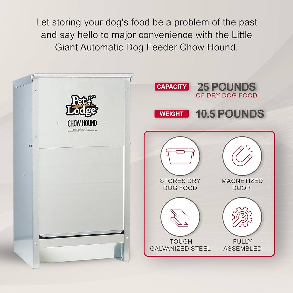 Choosing a Pet Lodge Feeder: Tips for Happy Pets & Owners