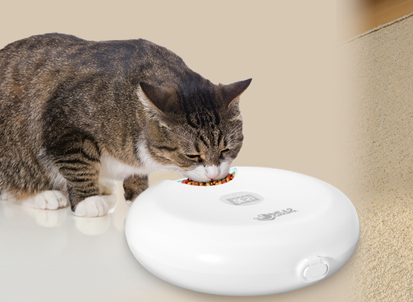 How to Choose a Pet Gravity Feeder: Simple Guide for All pet owners!