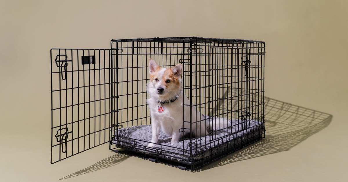 Good Dog Kennels Reviews: See What Other Pet Parents Say!