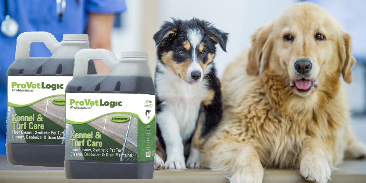 Best Dog Kennel Cleaning Supplies? Top Picks for a Clean & Safe Space!