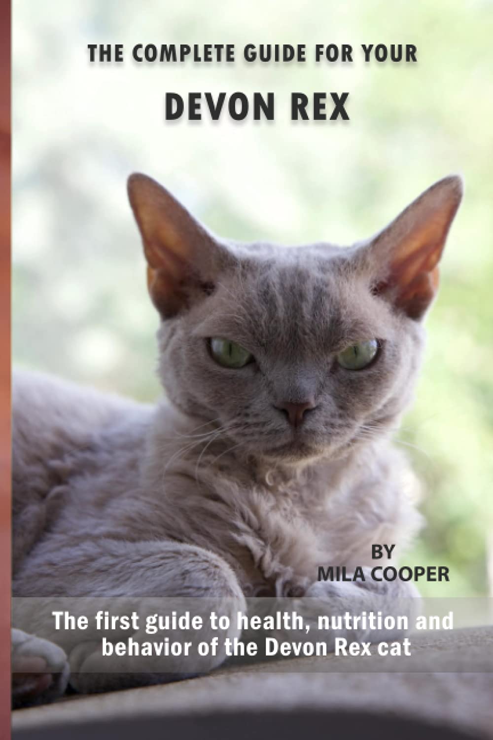 Where to Find Devon Rex Cats Near Me? Your Complete Guide!