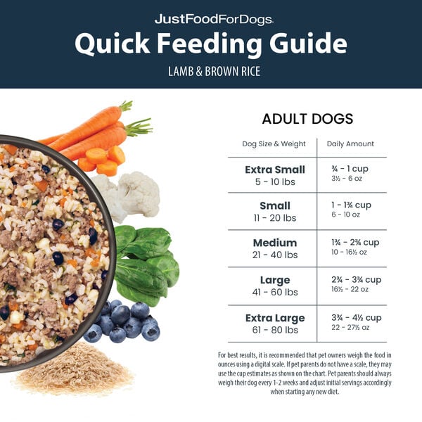 Is Lamb and Rice Good for Dogs? Simple Guide for Dog Owners