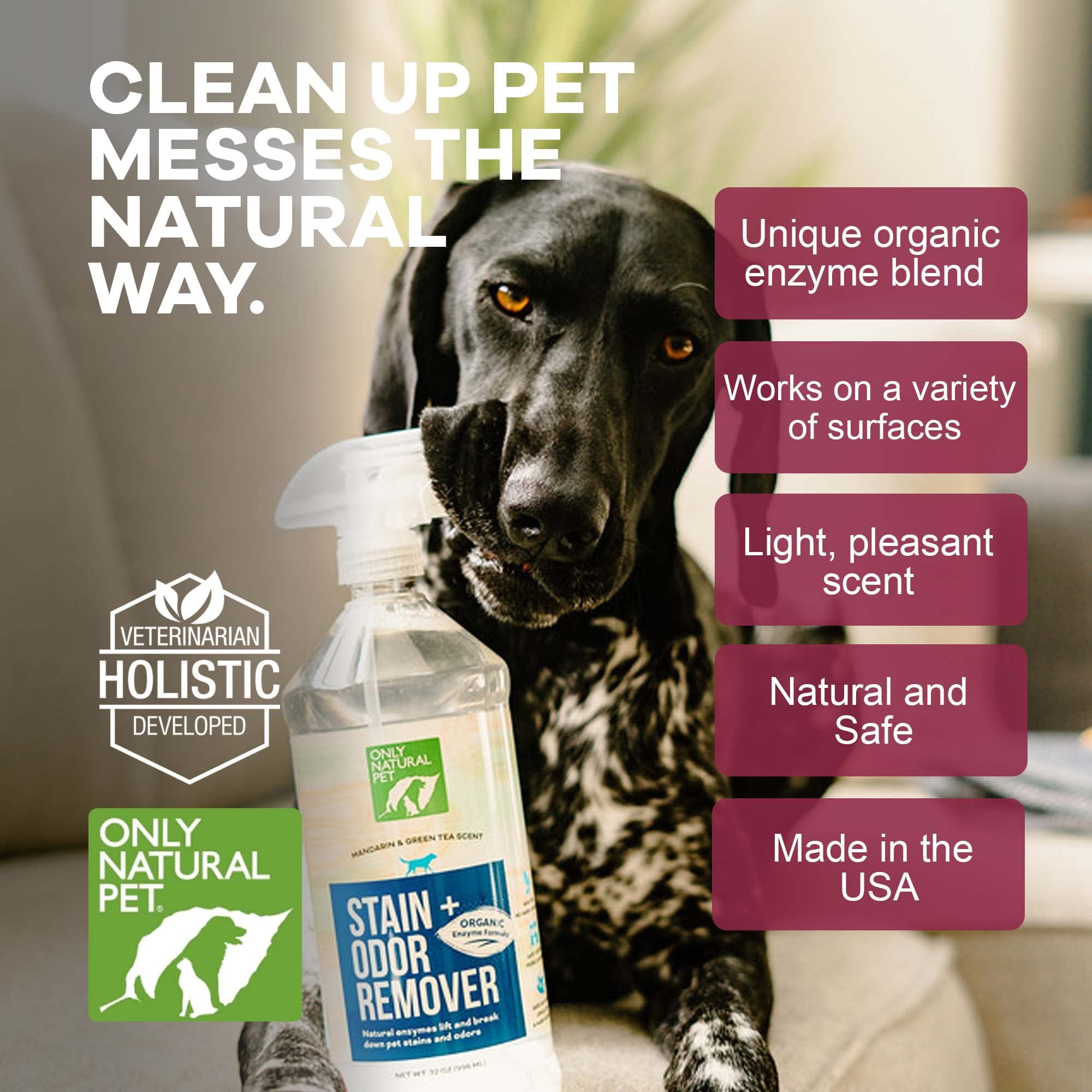 Top-Rated Natural Pet Cleaners: Easy Cleaning for Pet Owners