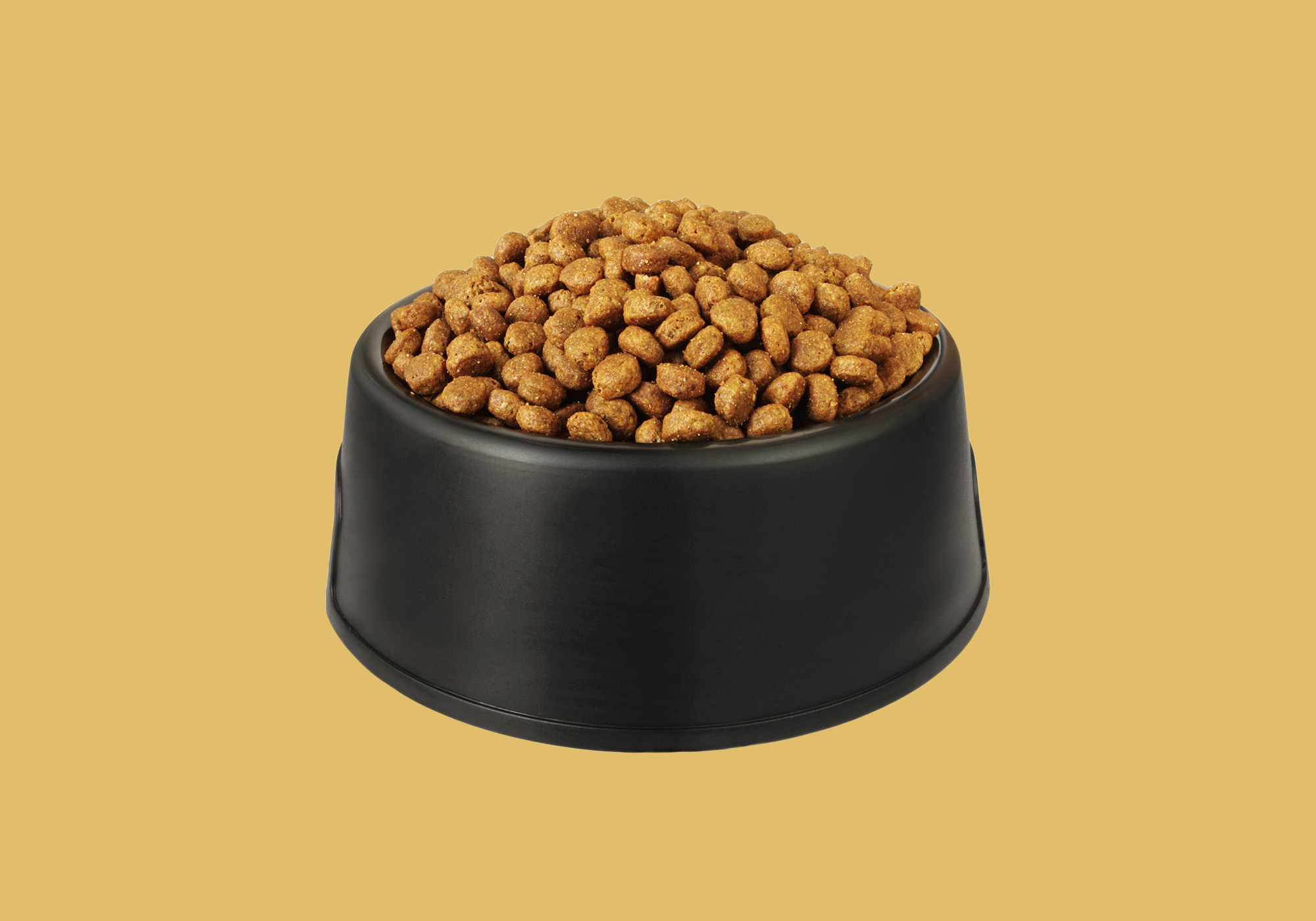 Choosing Advance Pet Food: A Simple Guide for Pet Owners.