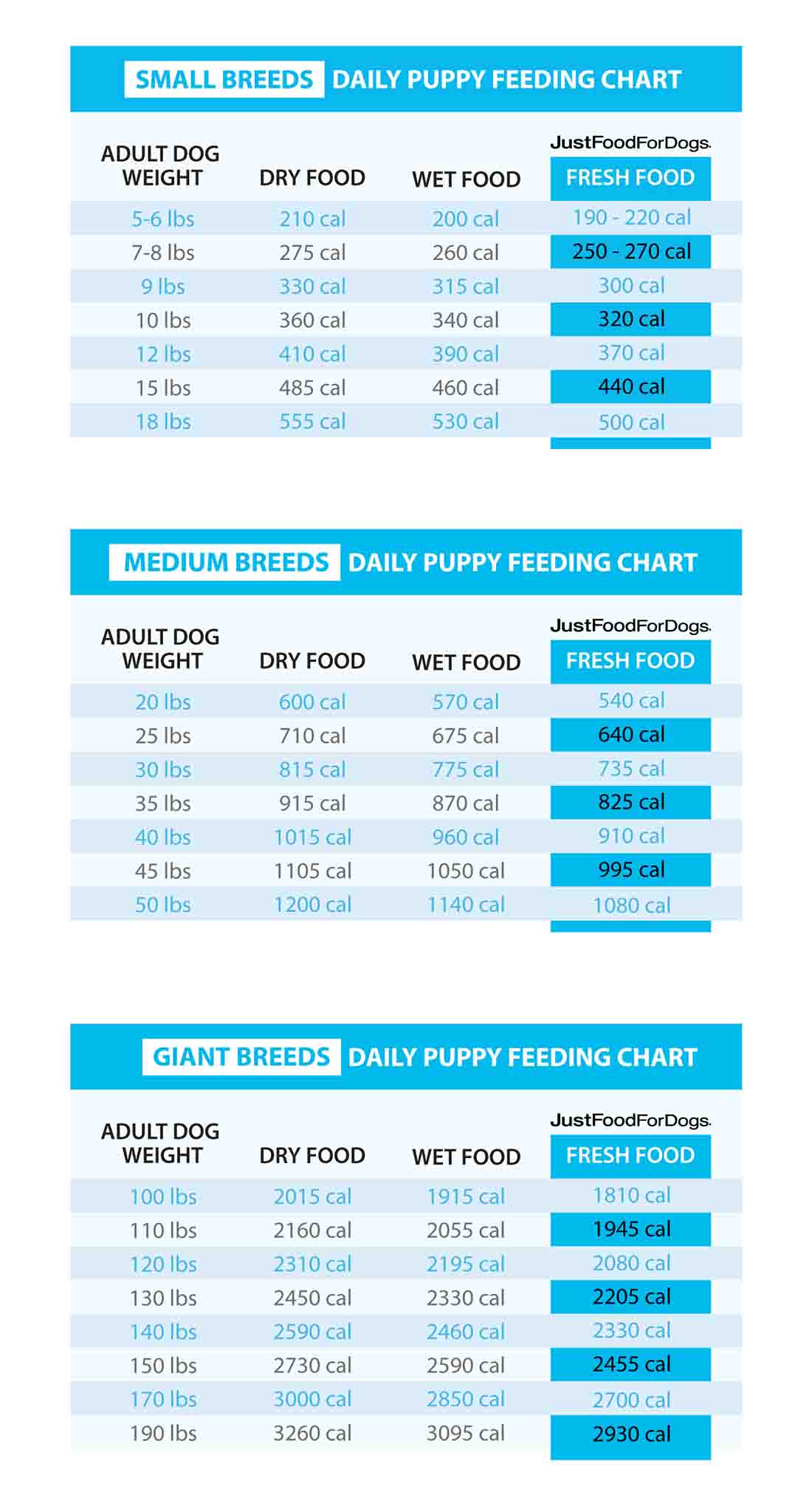 Siberian Husky Puppy Feeding Guide: How Much Food Do They Really Need?