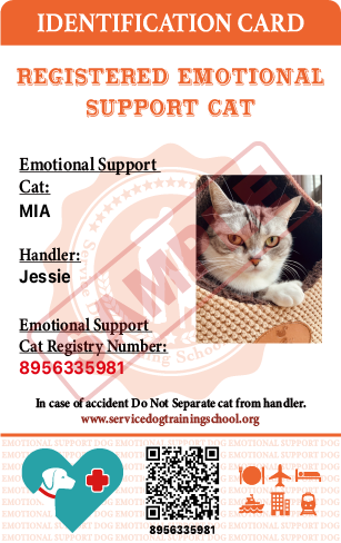 How to Get Therapy Pet Certification for Cats: A Simple Guide for Owners.