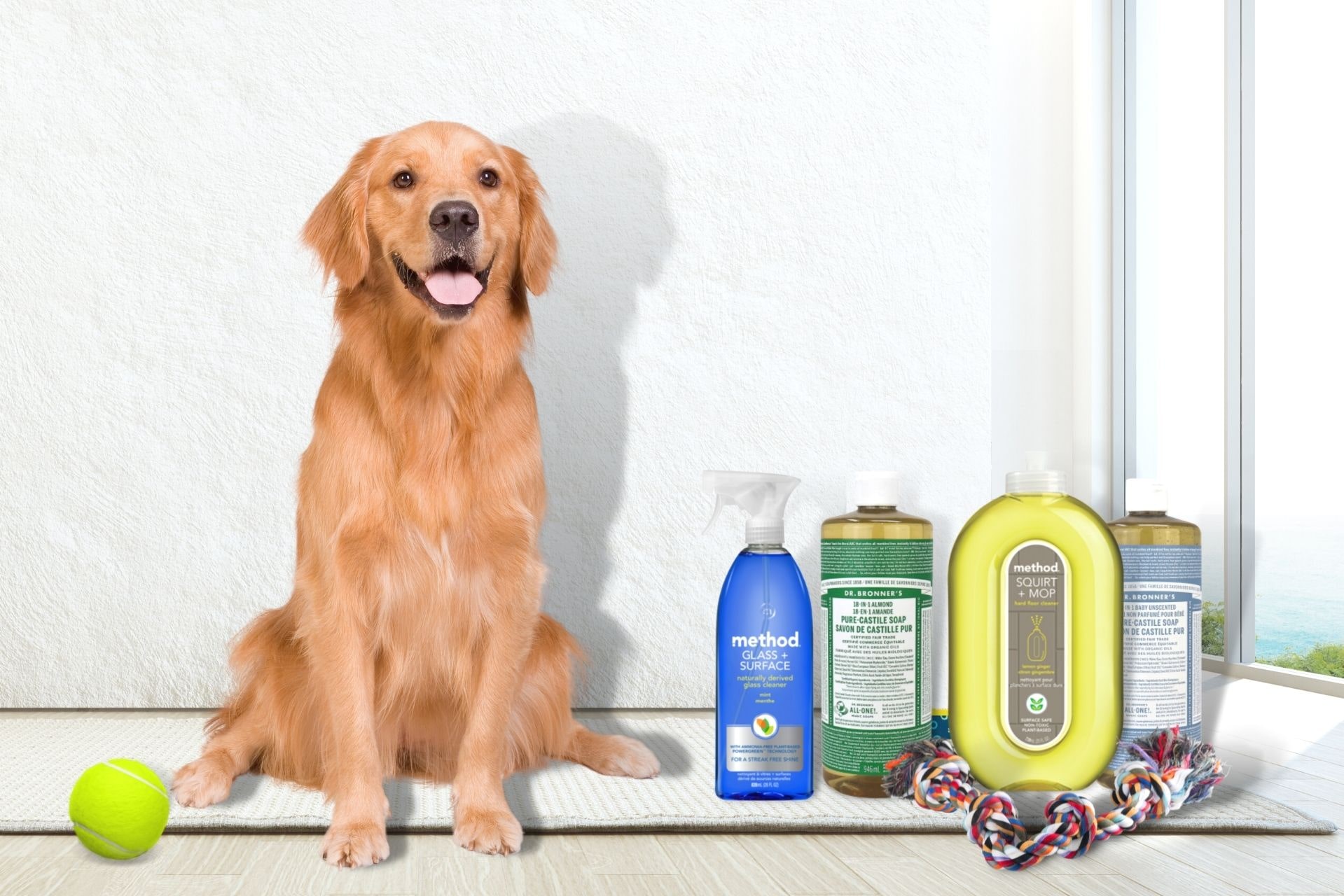 Top-Rated Natural Pet Cleaners: Easy Cleaning for Pet Owners