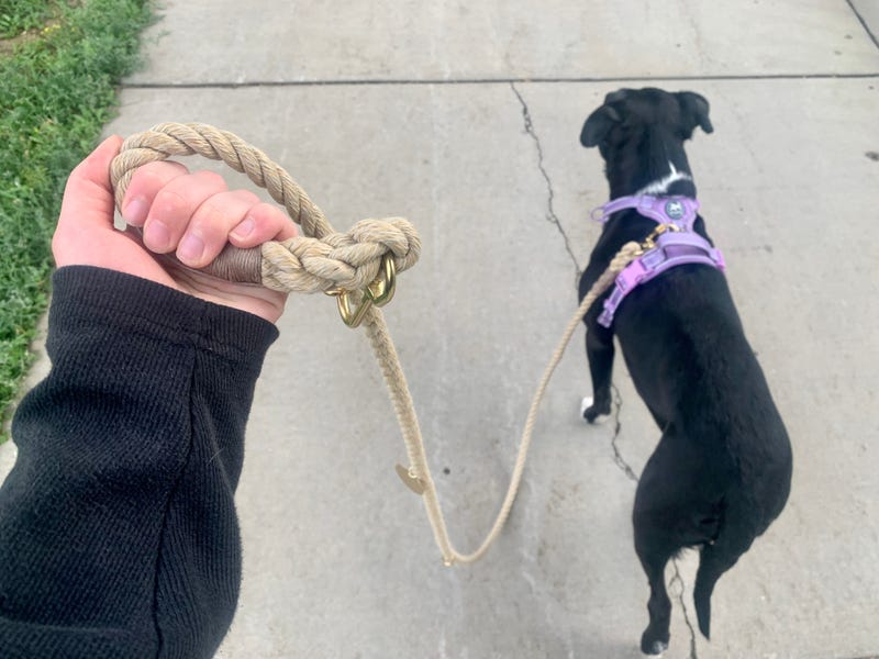 Need a Rope Leash for Small Dogs? Top Picks Reviewed!
