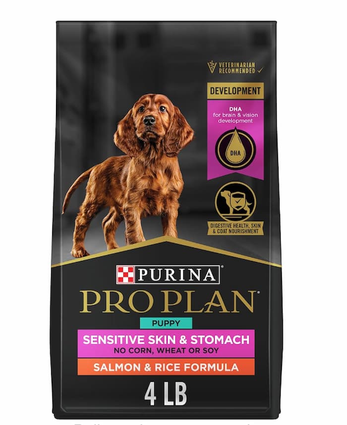 Dog Food to Stop Shedding: Best Picks to Reduce Fur Loss!