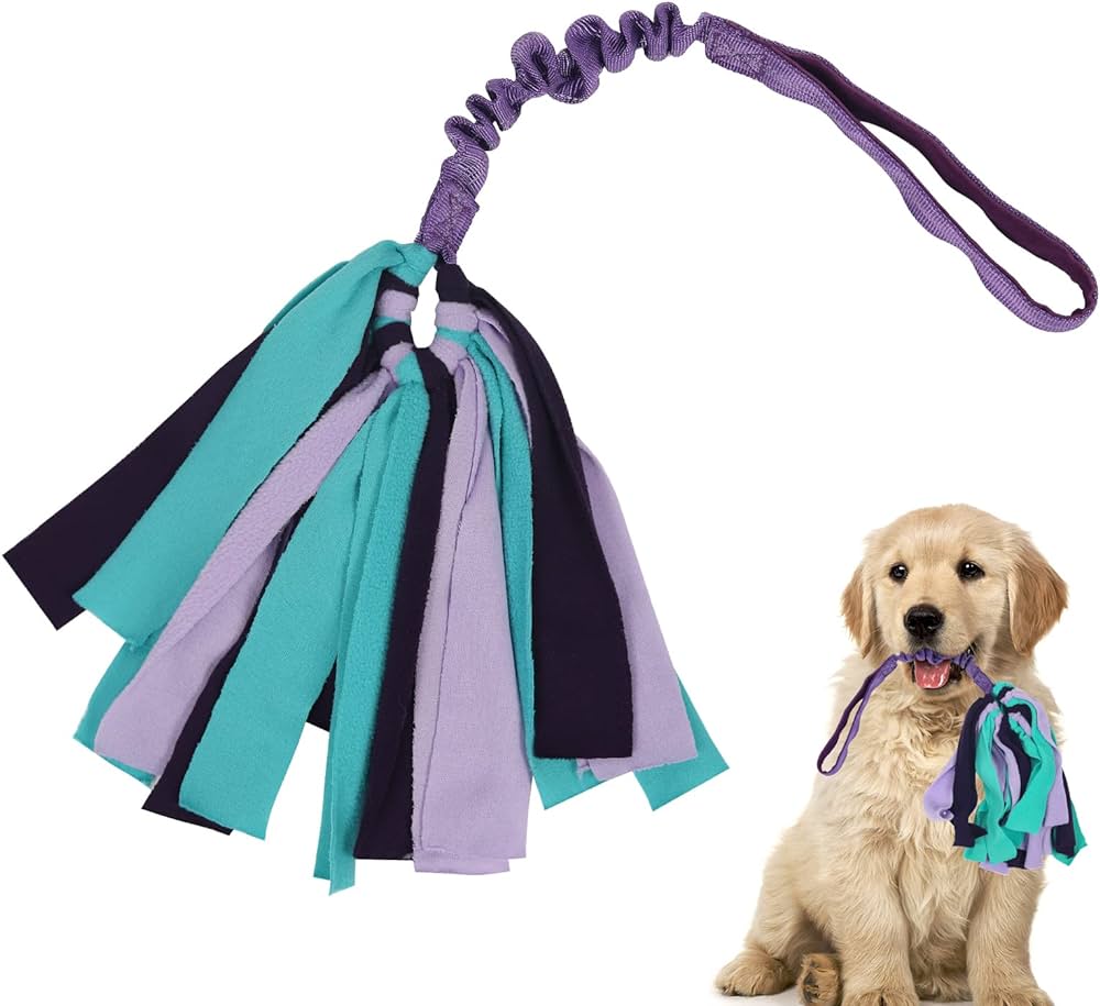 Which tug of war rope dog toy is most durable? Find tough options that last longer for strong chewers.