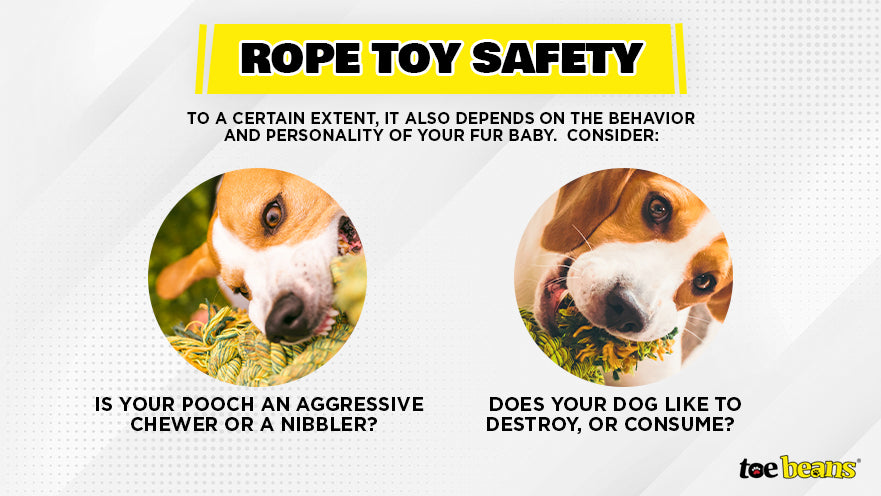 My Dog Eats Rope Toy - Should I Worry? Vet Advice Inside!