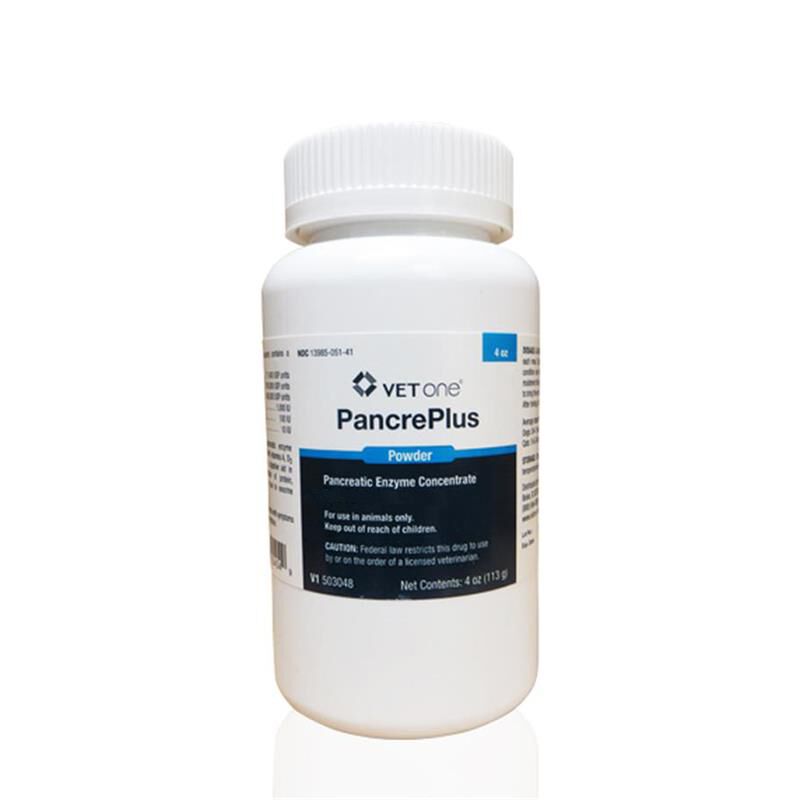 Using PancrePlus Powder? Get the Best Results for Your Pet!