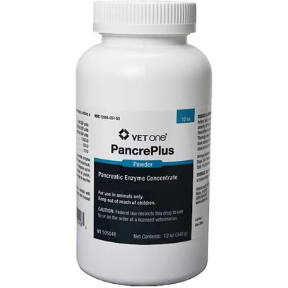 Using PancrePlus Powder for Dogs & Cats: Simple Tips & Tricks
