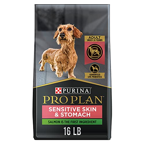 Dog Food to Stop Shedding: Best Picks for a Healthier Coat!