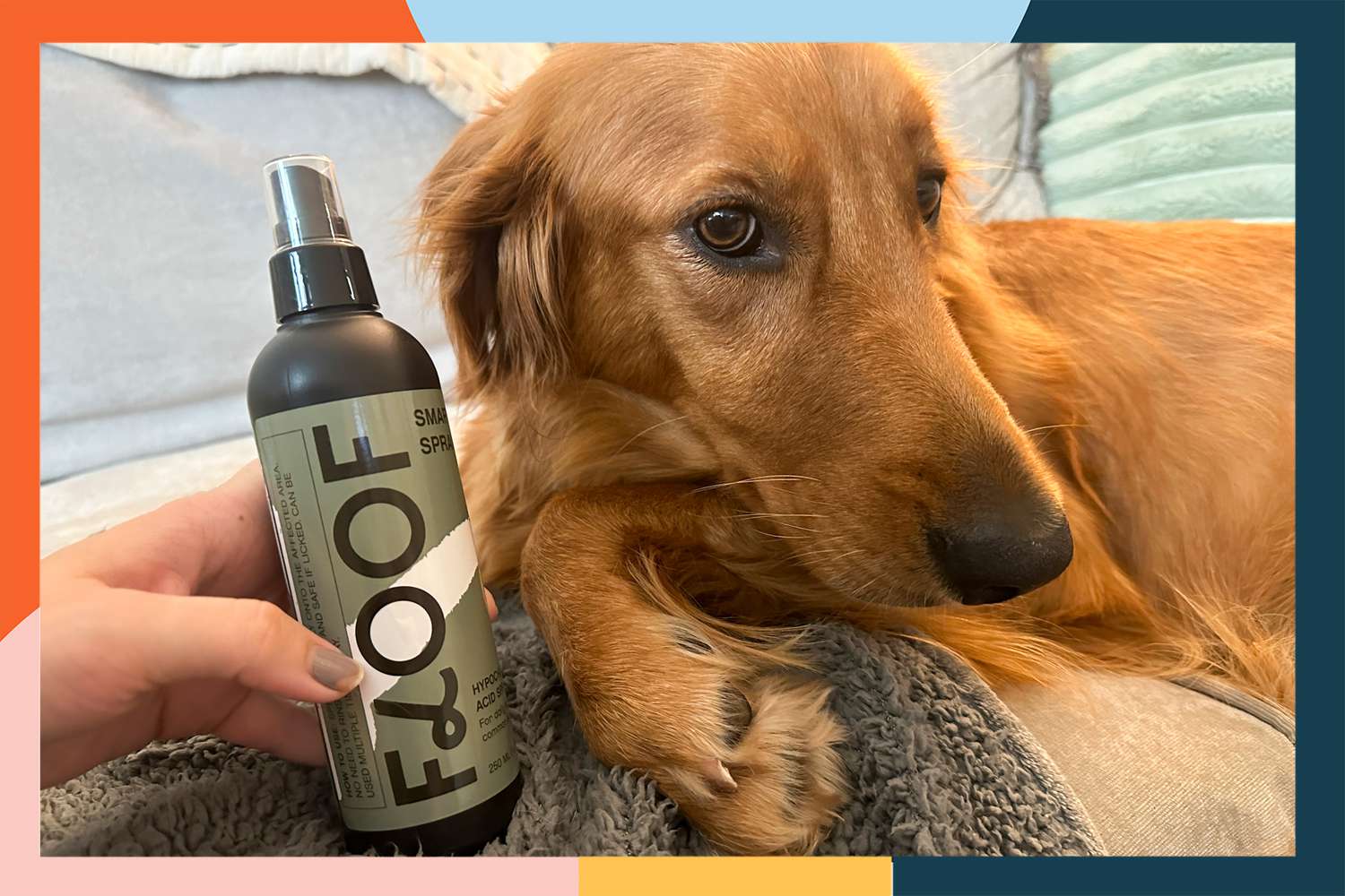 Best Hard Floor Cleaner for Pets: Top Picks for Messy Paws!