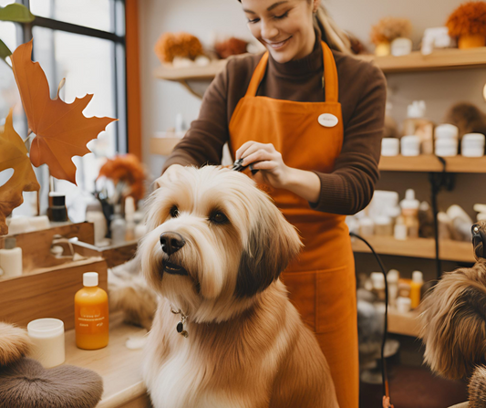 Best Pet Supplies Blog Advice? Get Simple Tips for Happy Healthy Pets Here!