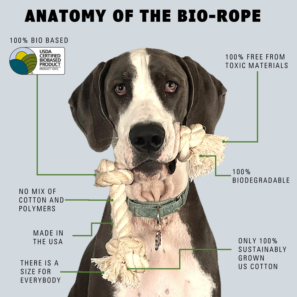 My Dog Eats Rope Toy - Should I Worry? Vet Advice Inside!